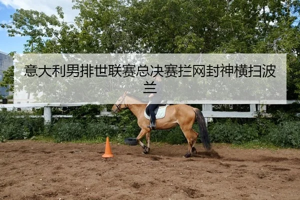 意大利男排世联赛总决赛拦网封神横扫波兰